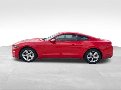 2019 Ford Mustang EcoBoost