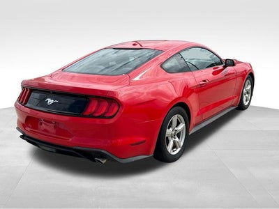 2019 Ford Mustang EcoBoost