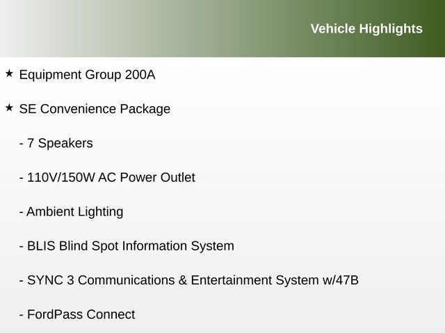 2019 Ford EcoSport SE