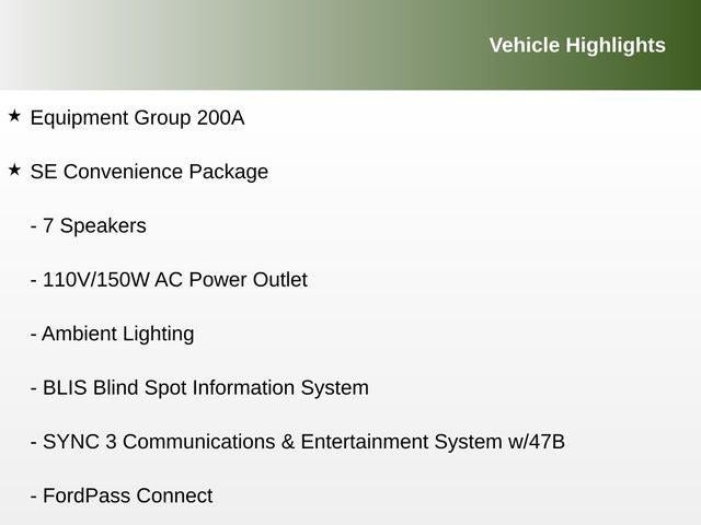 2019 Ford EcoSport SE