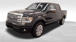 2014 Ford F-150 Platinum